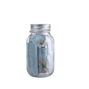 Jenam Strelitzia Nature's Gift Jar